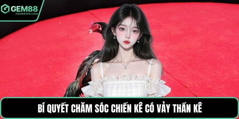 Bí quyết chăm sóc chiến kê có vảy thần kê