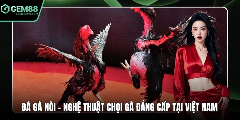 Đá gà nòi ảnh đại diện