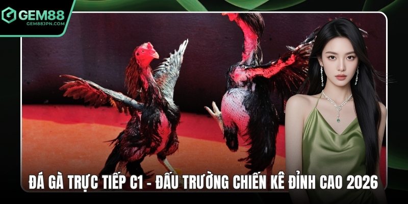 Đá gà trực tiếp c1 ảnh đại diện