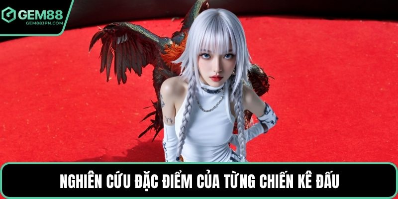 Nghiên cứu đặc điểm của từng chiến kê đấu