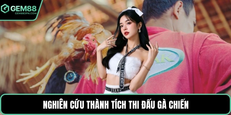 Nghiên cứu thành tích thi đấu gà chiến