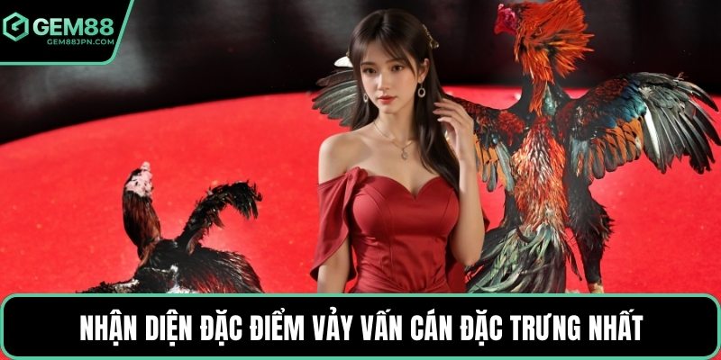 Nhận diện đặc điểm vảy vấn cán đặc trưng nhất