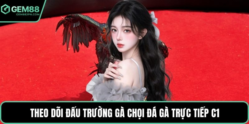 Theo dõi đấu trường gà chọi đá gà trực tiếp C1